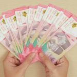 Perputaran Uang Selama Mudik 2026 Tembus Rp148 Triliun