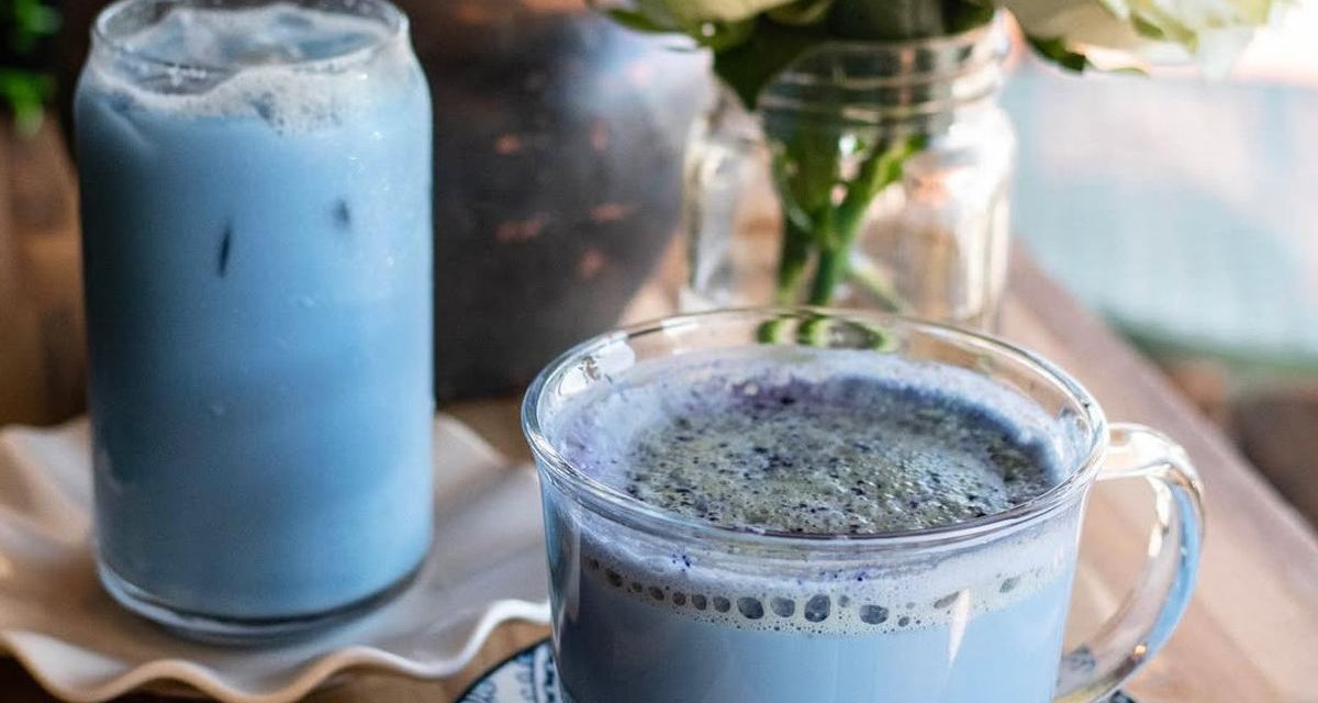 Blue Matcha Dari Thailand Mulai Geser Popularitas Matcha Hijau