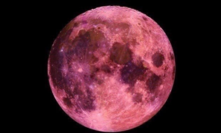 Fenomena Pink Moon Bukan Berarti Bulan Berwarna Merah Muda