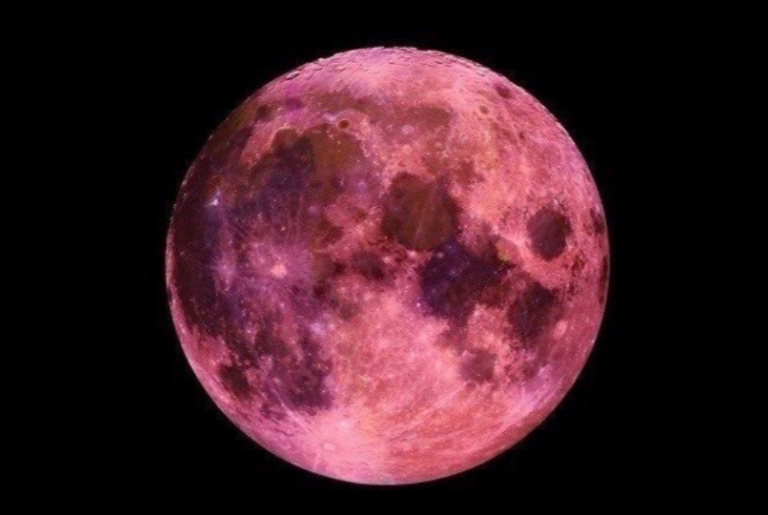 Fenomena Pink Moon Bukan Berarti Bulan Berwarna Merah Muda