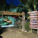 Hutan Mahoni Kutai Kartanegara Jadi Destinasi “Hidden Gem”