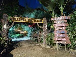 Hutan Mahoni Kutai Kartanegara Jadi Destinasi "Hidden Gem"