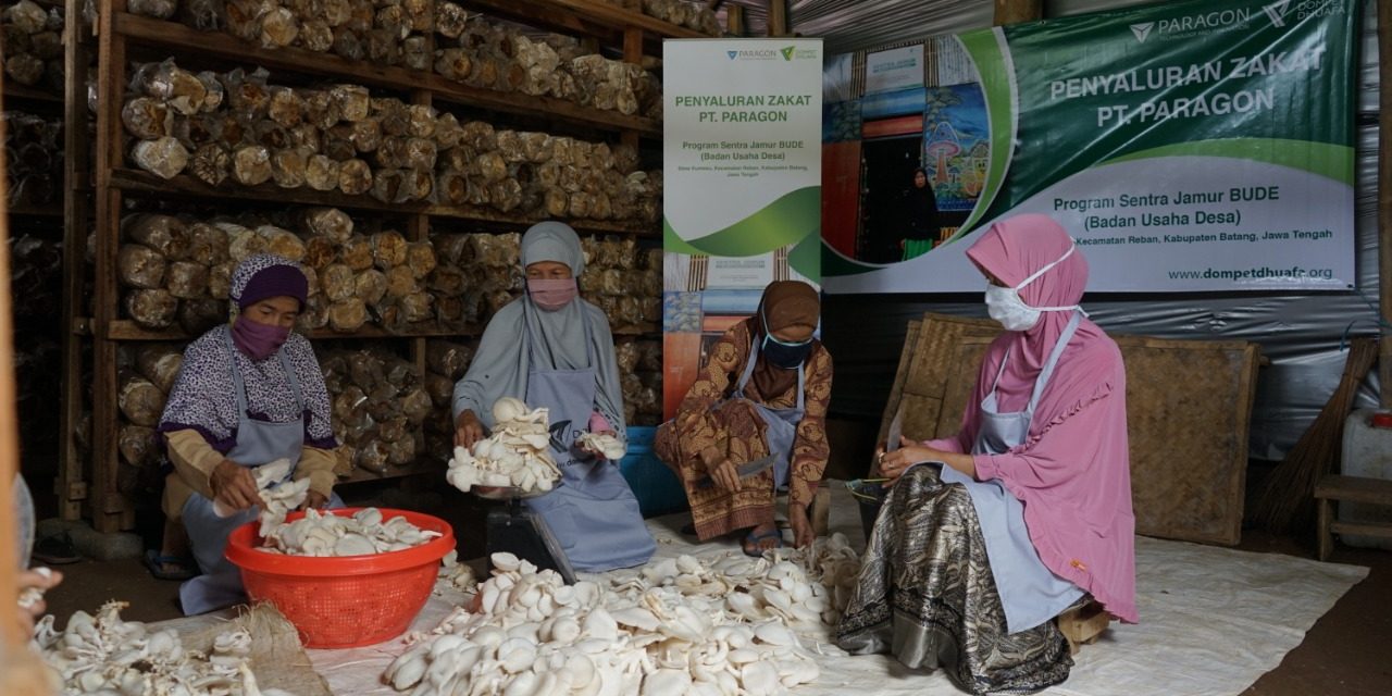 Jamur Lokal Jawa Kini Jadi Bahan Utama Plant-Based Food