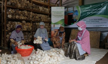 Jamur Lokal Jawa Kini Jadi Bahan Utama Plant-Based Food