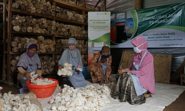 Jamur Lokal Jawa Kini Jadi Bahan Utama Plant-Based Food