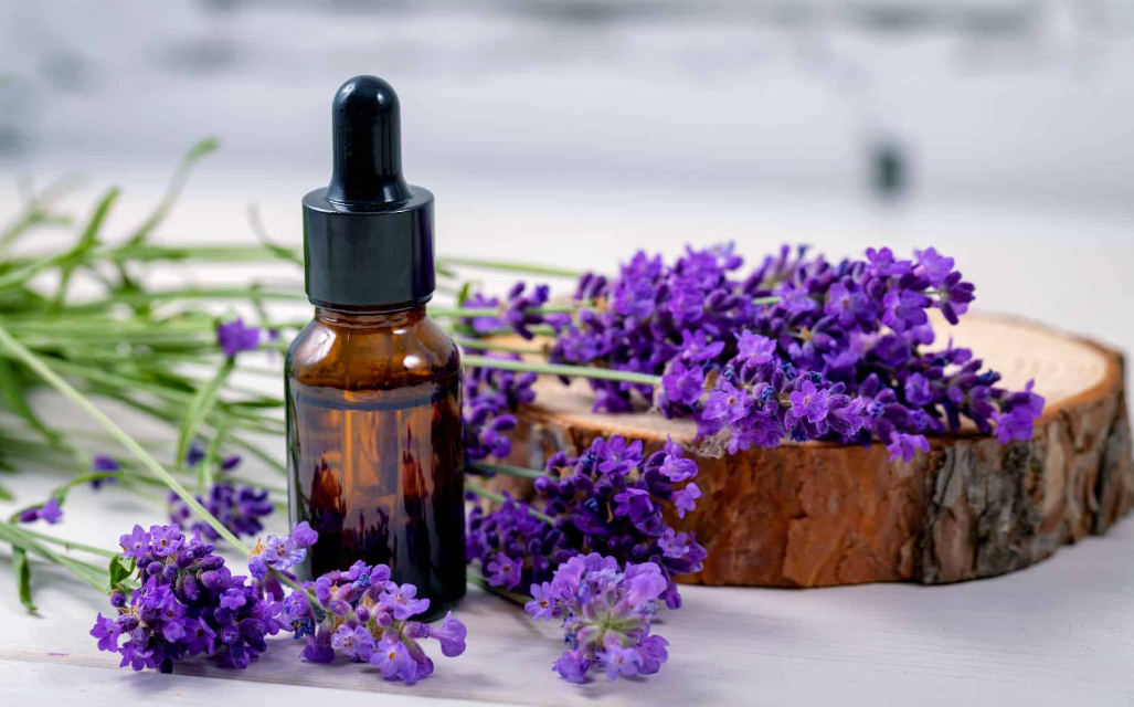 Tips Usir Nyamuk Di Kamar Pakai Pewangi Serai-Lavender