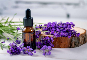Tips Usir Nyamuk Di Kamar Pakai Pewangi Serai-Lavender