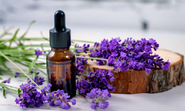 Tips Usir Nyamuk Di Kamar Pakai Pewangi Serai-Lavender