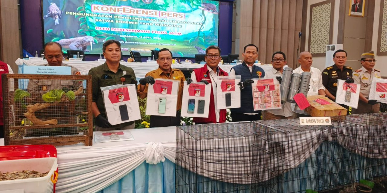 BBKSDA NTT Perketat Pengawasan Perdagangan Ilegal Komodo