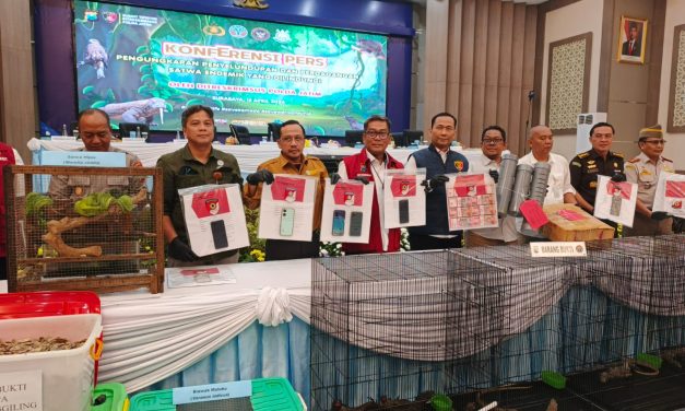 BBKSDA NTT Perketat Pengawasan Perdagangan Ilegal Komodo