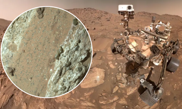 Rover Perseverance NASA Kumpulkan Batuan Kawah Jezero