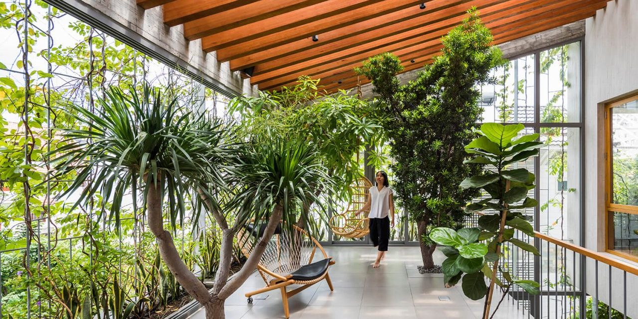 Tren Biophilic Lighting: Rahasia Rumah Sehat Dan Hemat Listrik