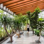 Tren Biophilic Lighting: Rahasia Rumah Sehat Dan Hemat Listrik