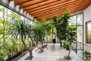 Tren Biophilic Lighting: Rahasia Rumah Sehat Dan Hemat Listrik