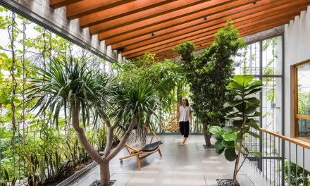 Tren Biophilic Lighting: Rahasia Rumah Sehat Dan Hemat Listrik