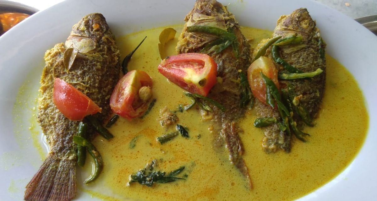 Gurihnya Gulai Taboh Ikan Laut Berkuah Kuning Khas Lampung