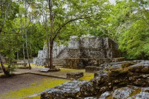 Kota Kuno Bangsa Maya Terungkap Di Hutan Hujan Meksiko