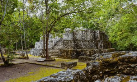Kota Kuno Bangsa Maya Terungkap Di Hutan Hujan Meksiko