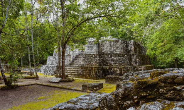 Kota Kuno Bangsa Maya Terungkap Di Hutan Hujan Meksiko