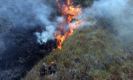 Pemprov Jatim Uji Coba Alat Penyiraman Elektrik Di Medan Terjal