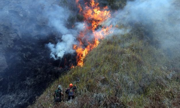 Pemprov Jatim Uji Coba Alat Penyiraman Elektrik Di Medan Terjal
