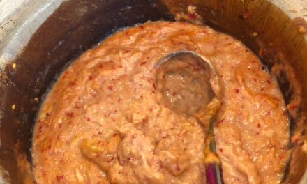 Menikmati Sambal Tempoyak Khas Jambi Pendamping Ikan Patin